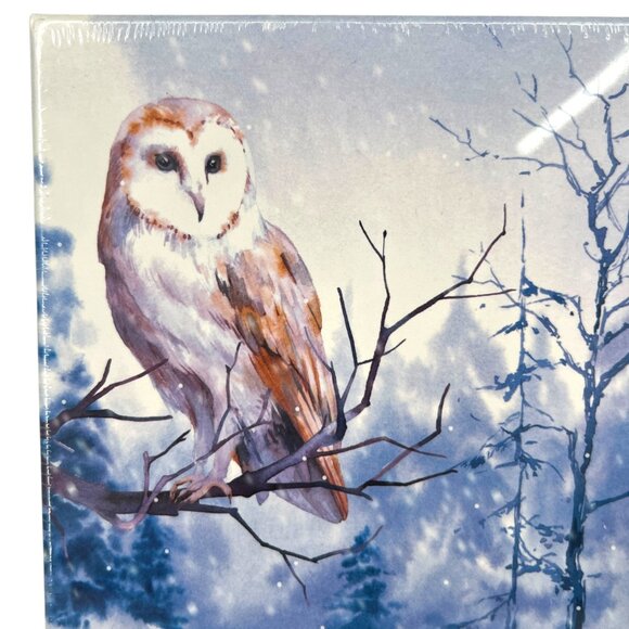 hNCL Barn Owl Winter Snow 1000 Piece Puzzle Age 10+ NIB - Picture 4 of 11